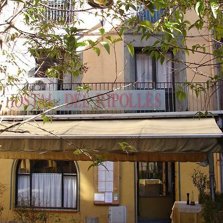 Hostal Del Ripolles Exteriér fotografie